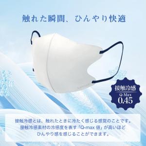 4箱セット [RAFFINATO] 冷感 0....の詳細画像5