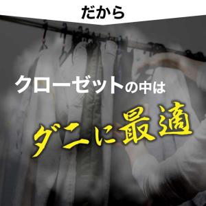 4箱セット イースマイル さよならダニークロー...の詳細画像2