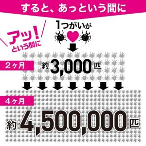 4箱セット イースマイル さよならダニークロー...の詳細画像3