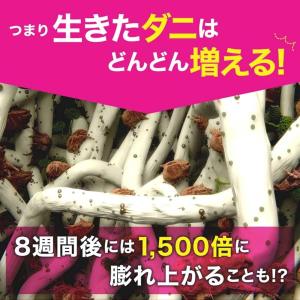 4箱セット イースマイル さよならダニークロー...の詳細画像4
