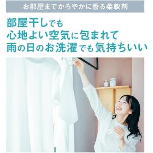 3袋セット ソフラン AIRIS 詰め替え用 ...の詳細画像4