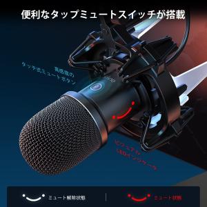 「爆買」FIFINE K651 USB ダイナ...の詳細画像3