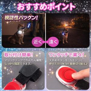犬 リード LED 光る首輪 お散歩ライト 夜...の詳細画像2