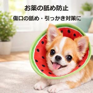 エリザベスカラー 犬 猫 ソフト 布製 軽量 ...の詳細画像4