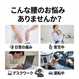 骨盤ベルト 腰痛ベルト コルセット 滑車 腰サ...の詳細画像1