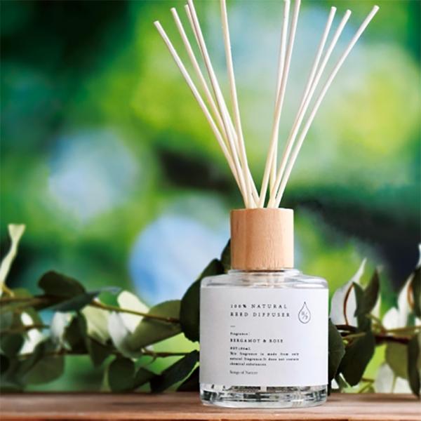 Songs of Nature HP リードディフューザー180ml ART LABO アロマ ルー...