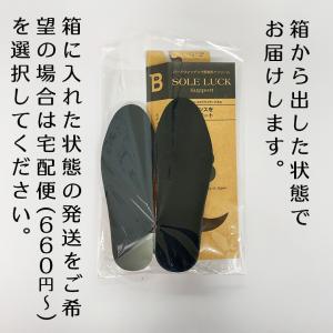 日本野鳥の会 暖かいインソール ソールラックウ...の詳細画像3