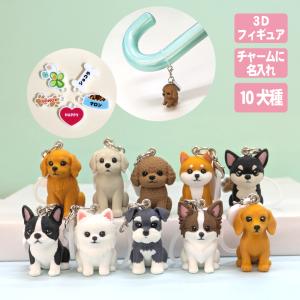 犬 キーホルダー(うちのこチャーム) めじるし ...の商品画像