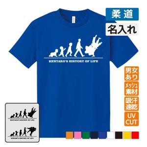 剣道 ドライ Tシャツ 吸汗 速乾 メッシュ オリジナル 名入れ無料 (HOL