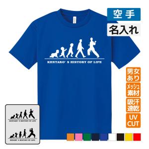 サーフィン ドライ Tシャツ 吸汗 速乾 メッシュ オリジナル 名入れ無料