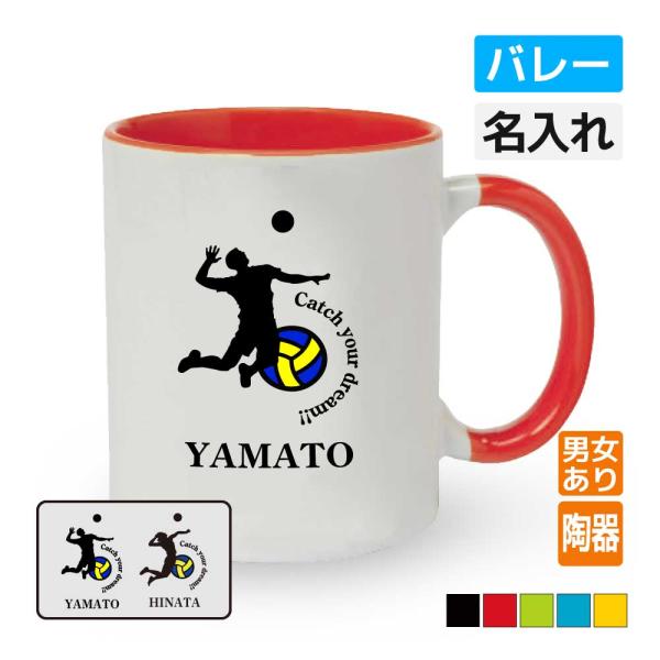 卒団 記念品 バレーボールマグカップ 名入れ無料 オリジナル プレゼント(CYD) 男子 女子 入学...