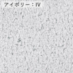 【受注生産品】ラグジュアリーラグ アフターグロ...の詳細画像1