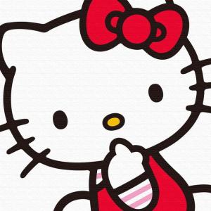 ハローキティ キティちゃん ファブリックパネル アート 新品 送料無料 アートパネル Hello Lib s1 Mサイズ 30cm 30cm Kityハローキティ
