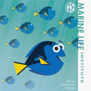 ファインディング ドリー ファブリックパネル マーリン アートパネル ディズニー Mサイズ 30cm 30cm Lib s1 Sde