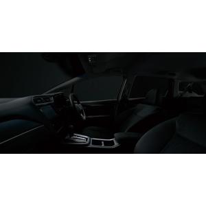フィット用 ホンダ純正フェイスパネルキット 08B40-TZA-P10C ホンダ GR