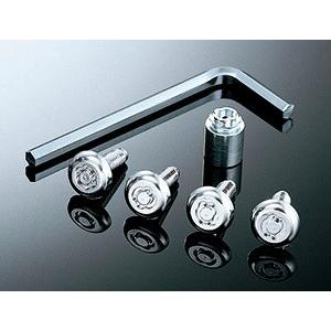 ナンバーロックボルト　18個セット ホンダ（HONDA） 純正 ナンバープレートロックボルト 08P25-EJ5-C00N