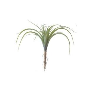 エアープランツ L Pvc ワイヤー L26cm Pl 803 De Desir De Vivre 通販 Yahoo ショッピング