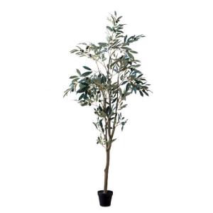 ポッシュリビング フェイクグリーン コーヒーツリー 80953 ポッシュリビング コーヒーツリー 80953 | 観葉植物 インテリア