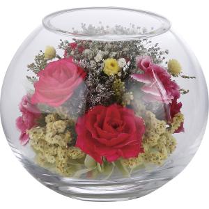 レンデフロール カトレア 胡蝶蘭 シクラメン グラジオス ドライ