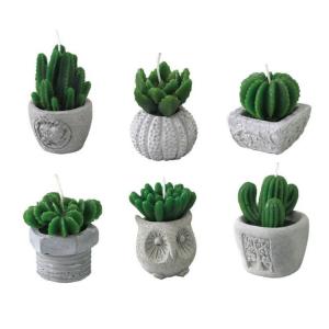 サボテン 可愛い 蚊取り 防虫 害虫駆除 の商品一覧 キッチン 日用品 文具 通販 Yahoo ショッピング