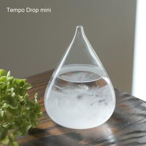 Secca セッカ 雪花 [ 1 ] 球小 65mm オブジェ 100% 100PERCENT（ヒャク