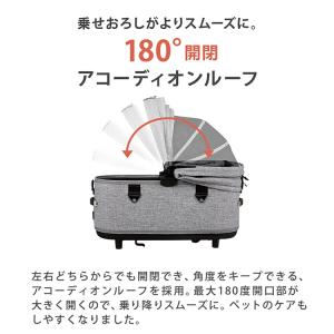 エアバギー ドーム3 プレミア レギュラー セ...の詳細画像4
