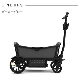 ヴィアクルーザー Veer Cruiser 特...の詳細画像3