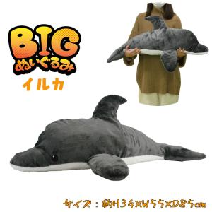 BIGぬいぐるみ イルカ リアル ぬいぐるみ ふわふわ BIG ラッピング不可 04｜devin