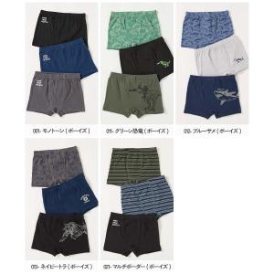 下着 インナーパンツ 肌着 インナーウェア デ...の詳細画像1