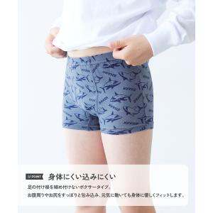 下着 インナーパンツ 肌着 インナーウェア デ...の詳細画像3
