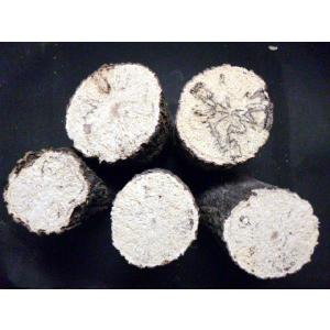 ☆DFかぶくわ☆クヌギＢS材バラ