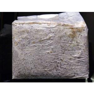 常温発送☆カワラ菌糸ブロック☆ブナ100％UGONDO☆3500cc1ケース6ヶ入り