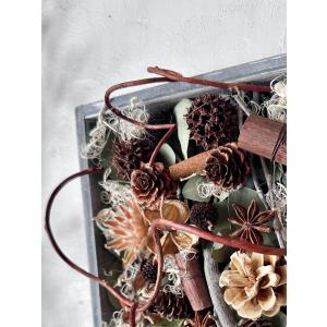 ドライフラワー木の実のフレームボックス インテリ...の商品画像