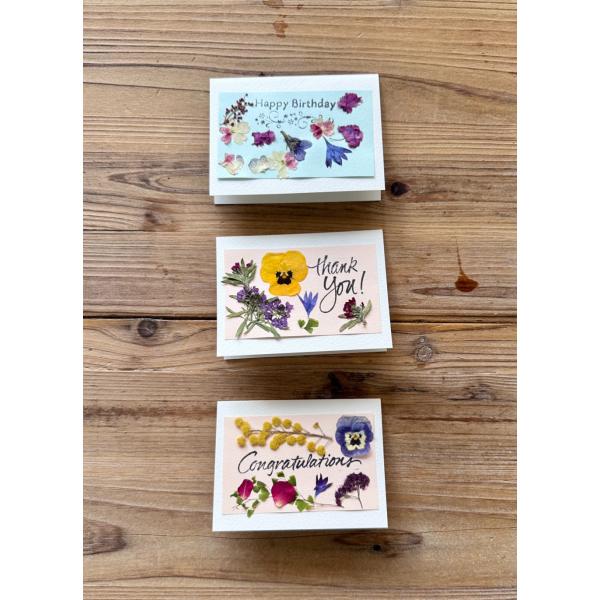 押し花のメッセージカード  贈り物に添えるだけで、心のこもった特別な一枚