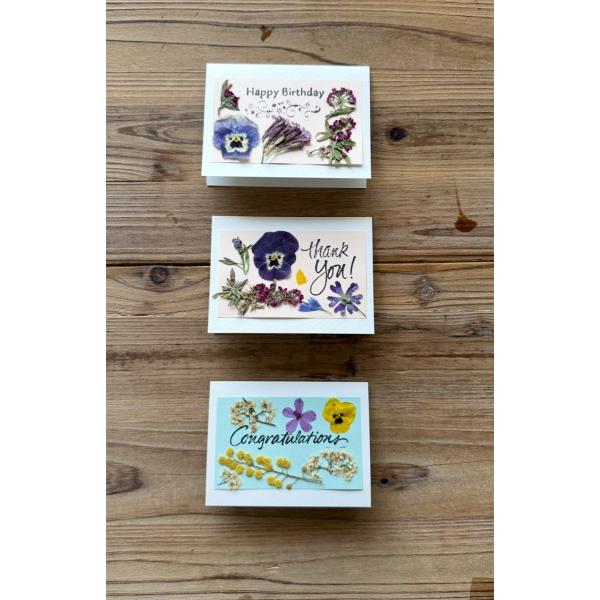 押し花のメッセージカード  贈り物に添えるだけで、心のこもった特別な一枚
