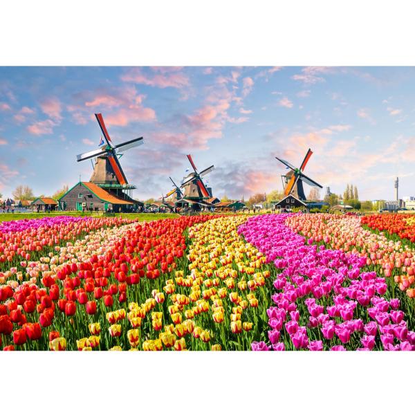 MISITU ジグソーパズル マイクロピース 1000ピース パズル 風景 自然 花 花畑 花