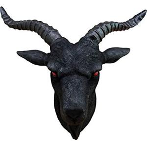 山羊 剥製の商品一覧 通販 Yahoo ショッピング