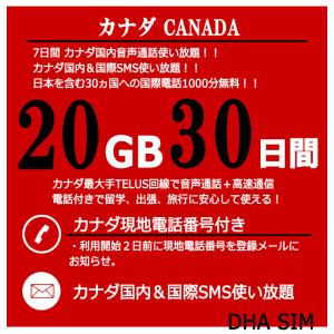 カナダ simカード 30日間 20GB プリ...の詳細画像1
