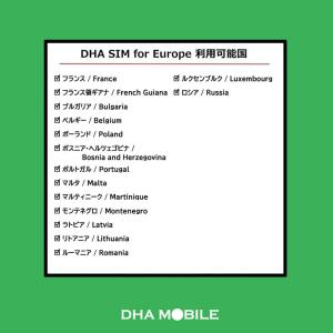 ヨーロッパ simカード 42国周遊 30日間...の詳細画像3