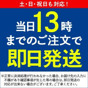 ビタミンC(ハードカプセル) 徳用90日分 D...の詳細画像4