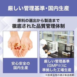 dhc サプリ ブルーベリー 【 DHC 公式...の詳細画像5