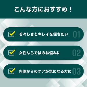 ピクノジェノール -PB 30日分 DHC 公...の詳細画像3