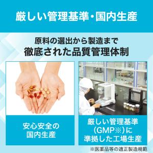 ラクトフェリン 30日分 DHC 公式 最短即...の詳細画像4
