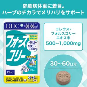 フォースコリー 30日分 DHC 公式 最短即...の詳細画像2