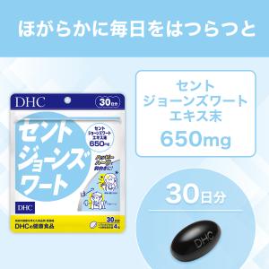 セントジョーンズワート 30日分 DHC 公式...の詳細画像2