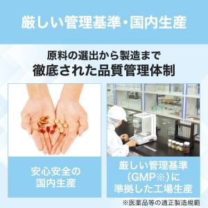 セントジョーンズワート 30日分 DHC 公式...の詳細画像5