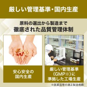 オルニチン 30日分 DHC 公式 最短即時発...の詳細画像4