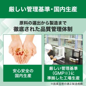 カルシウム /マグ 徳用90日分 DHC 公式...の詳細画像5