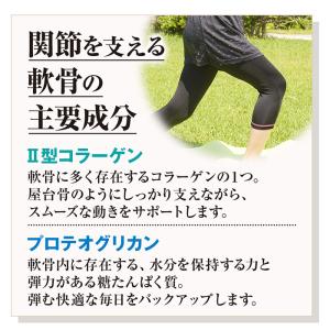 II型コラーゲン + プロテオグリカン 30日...の詳細画像3