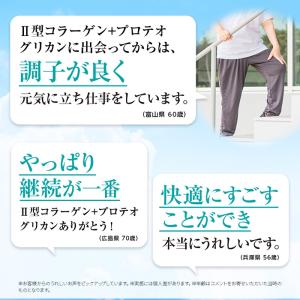II型コラーゲン + プロテオグリカン 30日...の詳細画像5